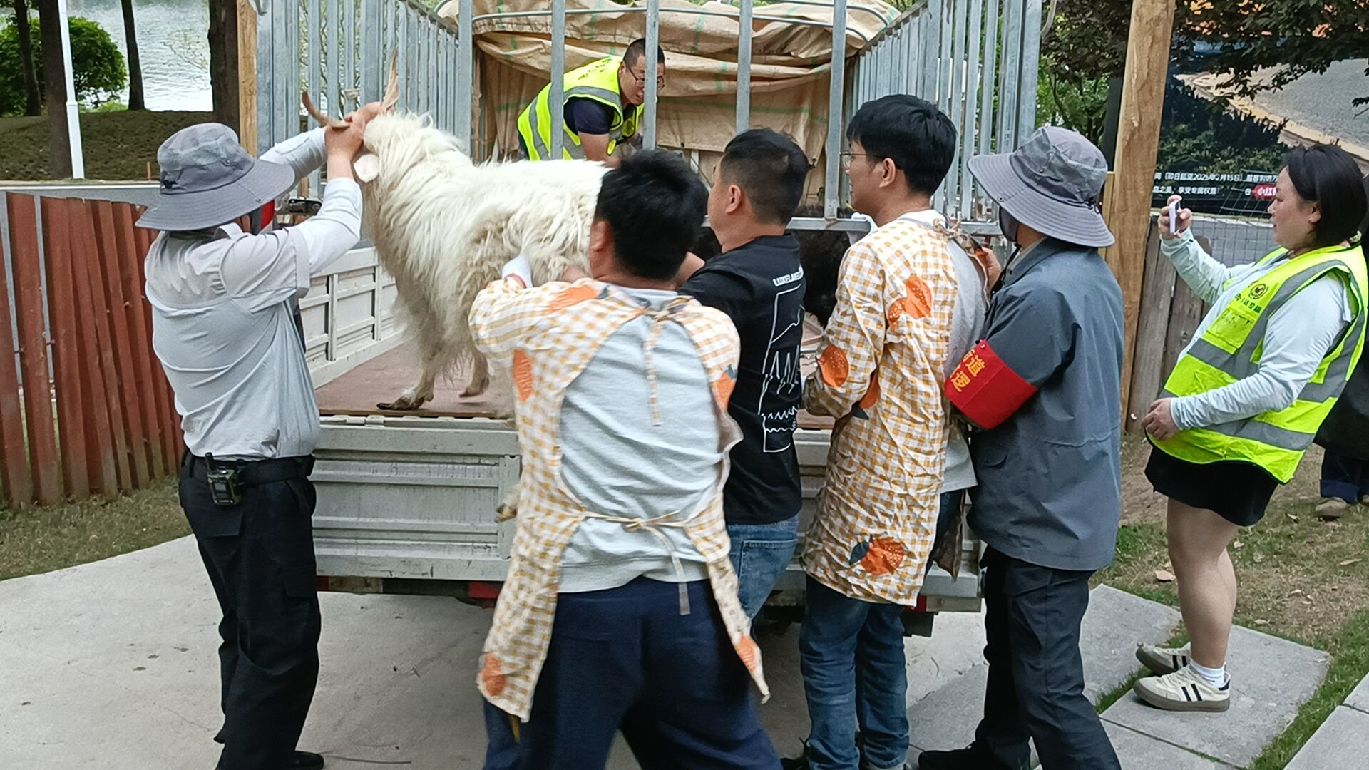 【成都麓客島——?jiǎng)游飳?zhuān)車(chē)運(yùn)輸】